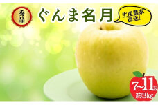 ぐんま名月 秀品 約3kg 7～11玉 りんご 果物 信州 長野