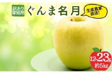 ぐんま名月 訳あり家庭用 約5kg 12～23玉 りんご 果物 訳あり 信州 長野