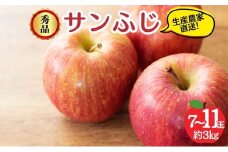サンふじ 秀品 約3kg 7～11玉 りんご ふじ 果物 信州 長野