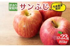 サンふじ 訳あり家庭用 約5kg 12～23玉 りんご 果物 訳あり 信州 長野