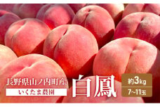 桃　白鳳　約3kg もも フルーツ 果物 お取り寄せ 長野県 山ノ内町