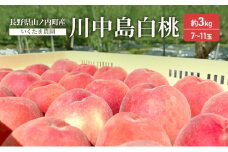 桃　川中島白桃　約3kg もも フルーツ 果物 お取り寄せ 長野県 山ノ内町