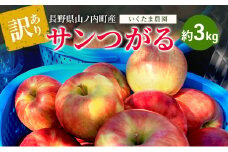 【訳あり】サンつがる 約3kg リンゴ りんご フルーツ 果物 お取り寄せ 長野県 山ノ内町