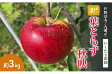 【訳あり】秋映 約3kg リンゴ りんご フルーツ 果物 お取り寄せ 長野県 山ノ内町