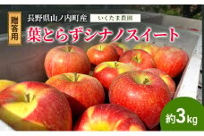 【贈答用】葉とらずシナノスイート 約3kg リンゴ りんご フルーツ 果物 お取り寄せ 長野県 山ノ内町