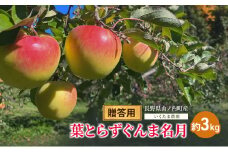 【贈答用】葉とらずぐんま名月　約3kg リンゴ りんご フルーツ 果物 お取り寄せ 長野県 山ノ内町