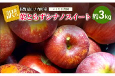【訳あり】シナノスイート　約3kg リンゴ りんご フルーツ 果物 お取り寄せ 長野県 山ノ内町