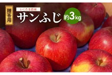 【贈答用】葉とらずサンふじ　約3kg リンゴ りんご フルーツ 果物 お取り寄せ 長野県 山ノ内町