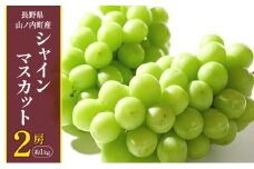 シャインマスカット2房 約1kg ぶどう ブドウ 果物 くだもの フルーツ 信州 長野