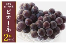 ピオーネ2房約1kg ぶどう ブドウ 果物 くだもの フルーツ 信州 長野