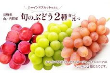 シャインマスカットを含む旬のぶどう2種食べ比べ ぶどう ブドウ 果物 くだもの フルーツ 信州 長野