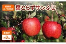 家庭用　葉とらずサンふじ　リンゴ　約3kg りんご 林檎 果物 くだもの フルーツ 信州 長野