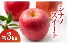 シナノスイート約3kg りんご 長野県産