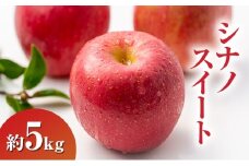 シナノスイート約5kg りんご 長野県産