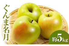 ぐんま名月約5kg 13～18玉 りんご 長野県産