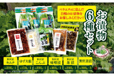 漬物セット岡本商店のお漬物6種（冷蔵）｜ 漬物 野沢菜 味噌漬け 昆布漬け キムチ漬け 野沢菜漬け 長野県 木島平村 信州