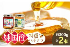 芳川養蜂場特選ハチミツ2本 | ハチミツ はちみつ 蜂蜜 国産 長野県 信州 木島平村