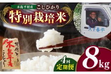 【先行予約】【定期便4回】特別栽培米 こしひかり 8kg(2kg × 4袋) × 4回 | 米 こしひかり コシヒカリ 定番 品種 定期 特別栽培 寒暖差 木島平村 長野県 信州