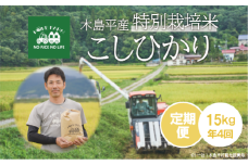 【定期便年4回】特別栽培米 こしひかり 15kg×4回 | 米 こしひかり コシヒカリ 定番 品種 特別栽培 定期 寒暖差 木島平村 長野県 信州