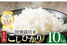 【先行予約】木島平産 コシヒカリ  約10kg | 米 白米 精米 特別栽培米 コシヒカリ こしひかり お米 おこめ 減農薬 長野県 木島平村 信州