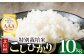 写真は5kg袋ですが10kgのお届けです。