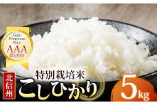 【先行予約】木島平産 コシヒカリ 約5kg | 米 白米 精米 特別栽培米 コシヒカリ こしひかり お米 おこめ 減農薬 長野県 木島平村 信州