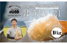 木島平産ゆうだい21 10kg | 米 ゆうだい21 希少 品種 特別栽培 寒暖差 木島平村 長野県 信州 減農薬 無化学肥料 特別栽培米