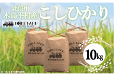 木島平産 こしひかり 10kg | 米 こしひかり コシヒカリ 定番 品種 特別栽培 寒暖差 木島平村 長野県 信州 コシヒカリ 減農薬 無化学肥料 特別栽培米