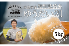 木島平産 ゆうだい21 5kg | 米 ゆうだい21 希少 品種 特別栽培 寒暖差 木島平村 長野県 信州 減農薬 無化学肥料 特別栽培米