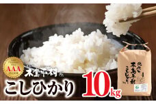 【先行予約】木島平産こしひかり 約10kg | 米 白米 精米 特別栽培米 コシヒカリ こしひかり お米 おこめ 減農薬 長野県 木島平村 信州