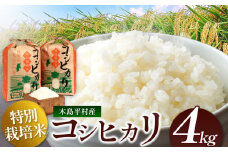 木島平産 コシヒカリ 約4kg | 米 白米 精米 特別栽培米 コシヒカリ こしひかり お米 おこめ 減農薬 長野県 木島平村 信州