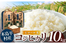 木島平産 コシヒカリ ピロール米 約10kg | 米 白米 精米 特別栽培米 コシヒカリ こしひかり ピロール米 お米 おこめ 減農薬 長野県 木島平村 信州