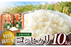 木島平産 コシヒカリ 約10kg | 米 白米 精米 特別栽培米 コシヒカリ こしひかり お米 おこめ 減農薬 長野県 木島平村 信州