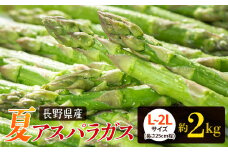 夏 アスパラガス 約2kg 農家直送 ハウス栽培（路地栽培あり）| 野菜 やさい ヤサイ 根物 ねもの ネモノ アスパラ あすぱら アスパラガス あすぱらがす 夏 旬 出荷 長野県 木島平村 ハウス栽培 路地栽培 農家 直送