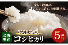 木島平産 特別栽培米 コシヒカリ 約5kg | 米 こしひかり コシヒカリ 定番 品種 特別栽培 寒暖差 木島平村 長野県 信州 コシヒカリ 特別栽培米