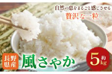 木島平産 木島平村産 風さやか 約5kg | 米 風さやか 特別栽培米 低農薬 長野 長野県 長野県産 木島平村 木島平村産