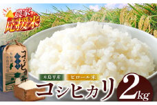 【農家応援米】木島平産コシヒカリピロール米 約2kg | 米 白米 精米 特別栽培米 コシヒカリ ピロール米 こしひかり お米 おこめ 減農薬 長野県 木島平村 信州