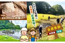 市民農園・利用権（水田） | 農業体験 農園 野菜作り アクティビティ 木島平村 信州