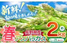 春 アスパラガス 約2kg 農家直送 ハウス栽培（路地栽培あり）｜野菜 やさい ヤサイ 根物 ねもの ネモノ アスパラ あすぱら アスパラガス あすぱらがす 春 旬 出荷 長野県 木島平村 ハウス 栽培 農家 直送