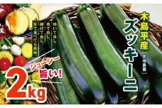 木島平産ズッキーニ 約2kg（太地農園） | 野菜 夏野菜 やさい ベジタブル vegetable  ズッキーニ ウリ科 カボチャ属 ラタトゥイユ 冷製 煮込み料理 焼き野菜 ゆで野菜 BBQ 2kg箱 木島平村 長野県 信州 北信州