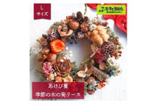 あけび蔓 季節の木の実リース Lサイズ | W-2