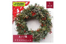 あけび蔓 クリスマスリース Lサイズ | W-1