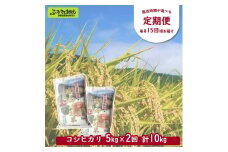 ［定期便／3ヶ月ごと］村の御用達米 5kg×2回 | KTm5-1