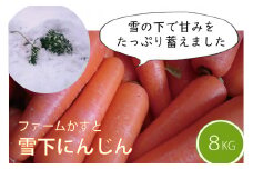 ファームかずとの「雪下にんじん（8㎏）」　豪雪地域で甘みを蓄えた逸品◇出荷期間限定品：お届けは令和7年（2025年）１月半ばから【長野県信濃町ふるさと納税】　