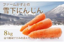 ファームかずとの「雪下にんじん（8kg）」豪雪地域で甘みを蓄えた逸品 カロテンたっぷり、生でも食べられます。出荷期間限定品：お届けは令和8年（2026年）1月半ばから【長野県信濃町ふるさと納税】　