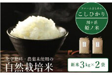 2025年収穫分、予約開始！信濃町産コシヒカリ「割ケ岳 姫乃米6kg（3kg×2）」令和7年秋出荷の新米 ｜ 農薬未使用の自然米 【長野県信濃町ふるさと納税】