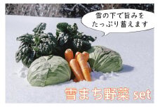 雪まち野菜4種セット（キャベツ、ニンジン、ほうれん草、くらかけ豆）季節・数量限定｜雪室で熟成された冬野菜を1月下旬から2月上旬発送予定【長野県信濃町ふるさと納税】