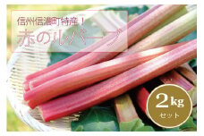 【長野信濃町ふるさと納税】信州信濃町特産「ルバーブ（赤）２キロ」初夏限定☆6月上旬まで受付！
