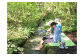 自然の小川で水療法