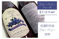 【長野県 信濃町ふるさと納税】ぶんぶく亭「Stoneブルーベリージュース」１L×２本セット｜  信濃町産のブルーベリーを贅沢に使った濃厚なジュースです